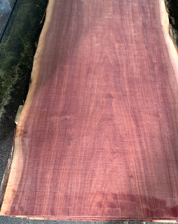 Exotic timber | Timberhub